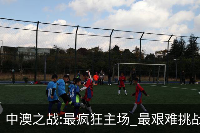 中澳之战:最疯狂主场 最艰难挑战 伊万直接明牌?